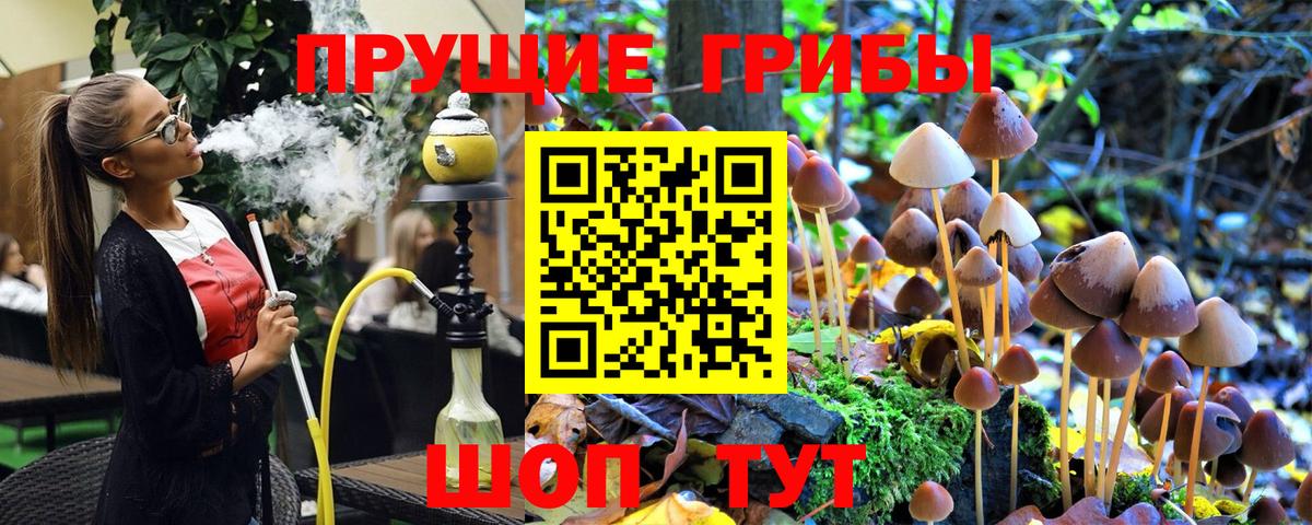 Сердобск  Галлюциногенные грибы прущие грибы  Вход с VPN 